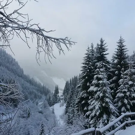 Mountain Innerkrems
